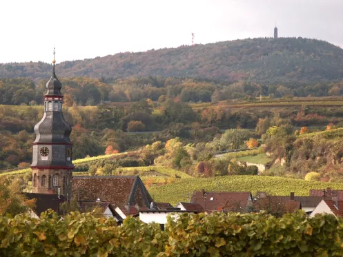 Kallstadt mit Blick auf Pfälzer Wald