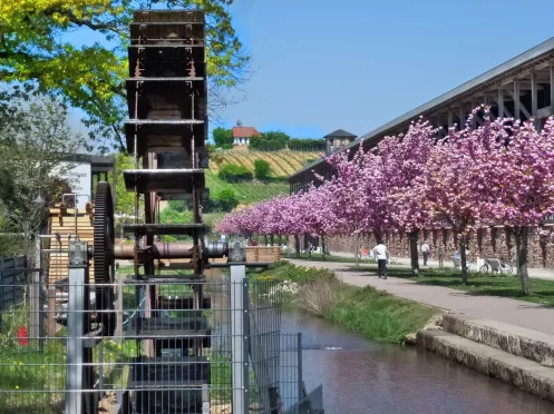 Wasserrad am Gradierbau Bad Dürkheim mit Blick auf die Michaelskapelle