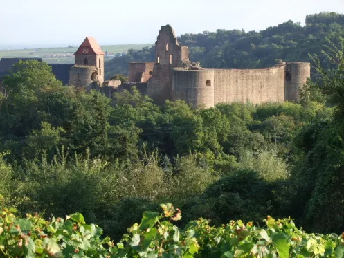 Burgruine Neuleiningen