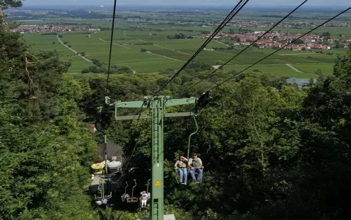 Riedburgbahn Edenkoben