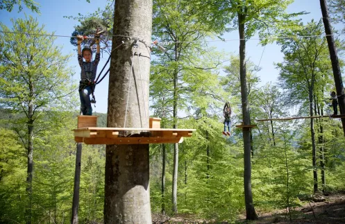 Ziplinepark Elmstein