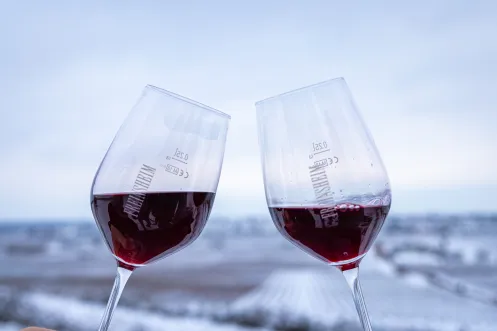 Rotweingläser vor verschneiten Weinbergen