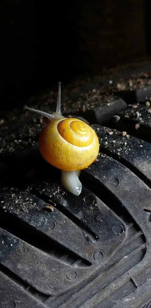 Mobilität in der Urlaubsregion