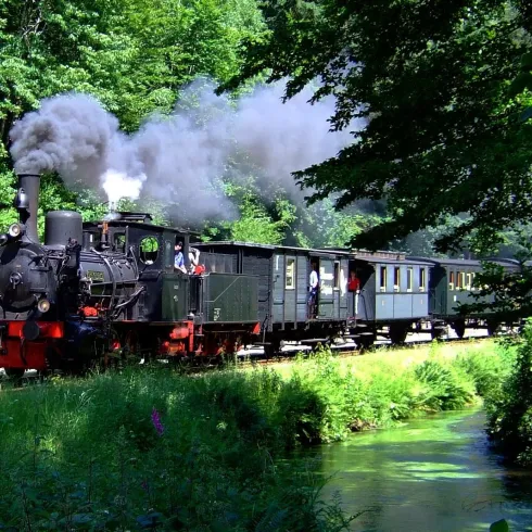 Eine historische Dampflok fährt durch eine grüne Landschaft. Der Zug wird von Rauch umhüllt und verläuft entlang eines kleinen Bachs.
