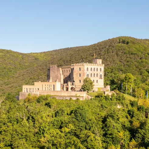 Hambacher Schloss - Dominik Ketz (© Dominik Ketz) Hambacher Schloss - Dominik Ketz (© Dominik Ketz)