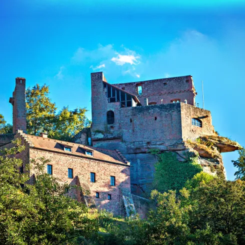 Eine alte Burg auf einem Hügel, umgeben von Bäumen. Der Himmel ist blau und klar, was eine malerische Landschaft schafft.