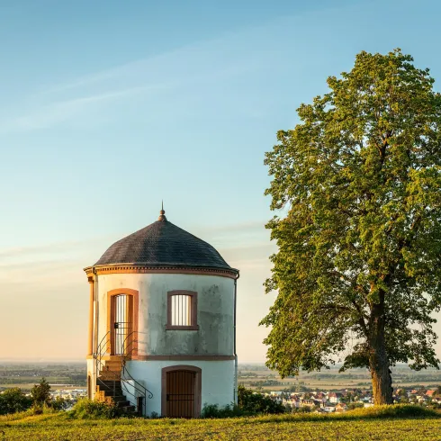 Ein kleiner Aussichtsturm steht alleine auf einem Hügel, umgeben von saftigem Grün. Daneben steht ein großer Baum, während der Himmel in sanften Farben leuchtet.
