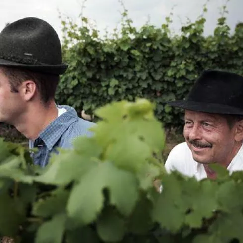 die Winzer - Vater und Sohn Hinterbichler (© Weingut Hinterbichler)