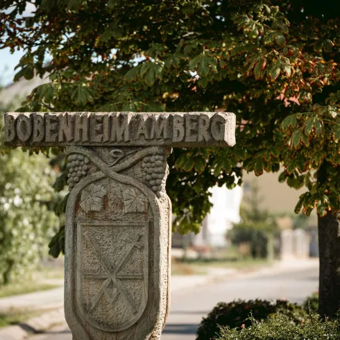 1 - 20250902-IMG_6750