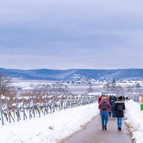 Gäste wandern auf dem Wanderweg Schwarzes Kreuz zur Rotweinwanderung durch die verschneite Landschaft