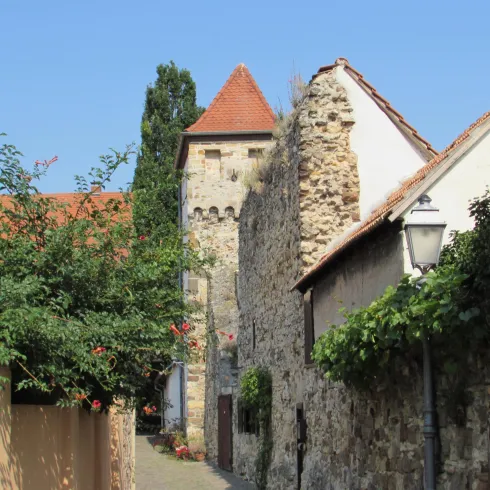 Hahnenturm mit Stadtmauer (© Urlaubsregion Freinsheim)
