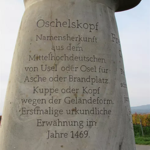 Oschelskopf (© Urlaubsregion Freinsheim)