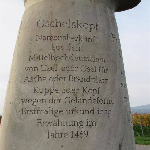 Oschelskopf (© Urlaubsregion Freinsheim) Oschelskopf (© Urlaubsregion Freinsheim)