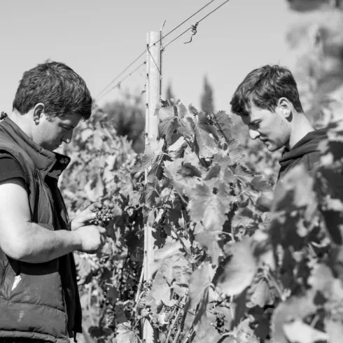 Weingut in der Urlaubsregion Freinsheim (© Weingut Reibold)