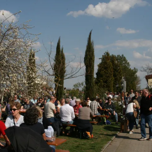 Festgeschehen (© Elke Metzger)