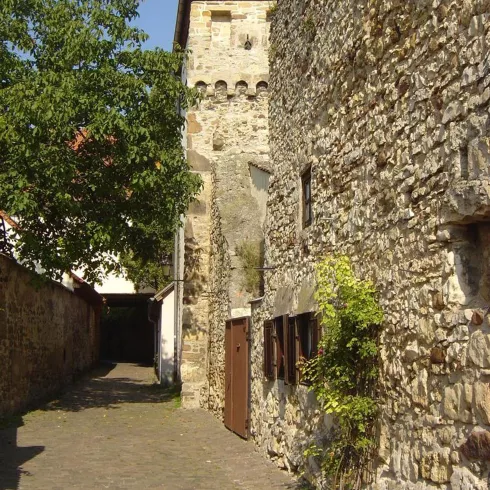 Stadtmauerrundgang (© Urlaubsregion Freinsheim) Stadtmauerrundgang (© Urlaubsregion Freinsheim)