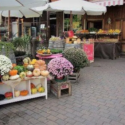 Der Außenbereich des Hofladens ausgestattet mit Paflanzen und Holzkisten in denen Kürbis platziert wurden. Sonnenschirme schützen vor der Sonne.