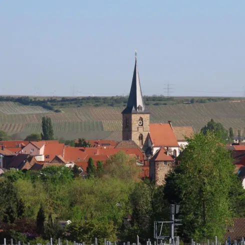 Aussicht vom Friedhof auf Freinsheim (© Urlaubsregion Freinsheim)