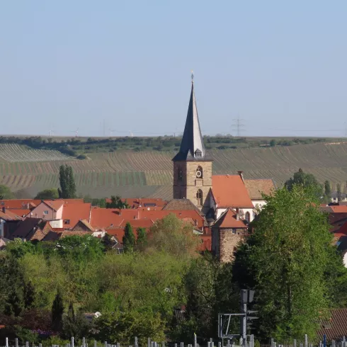 Aussicht vom Friedhof Bild 1 (© Urlaubsregion Freinsheim)