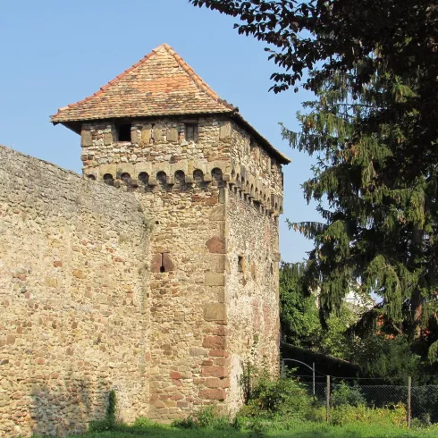 Kanonenturm Bild 1 (© Urlaubsregion Freinsheim) Kanonenturm Bild 1 (© Urlaubsregion Freinsheim)
