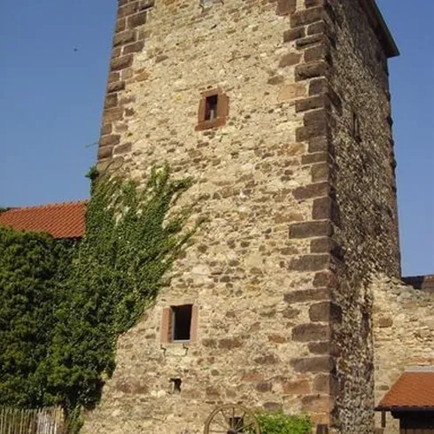 Freinsheim - Herzogturm außen (© Urlaubsregion Freinsheim)