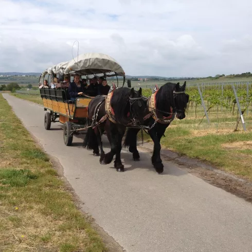 Wandertour mit Planwagenfahrt (© Kreuzhof - Heike Strasser) Wandertour mit Planwagenfahrt (© Kreuzhof - Heike Strasser)