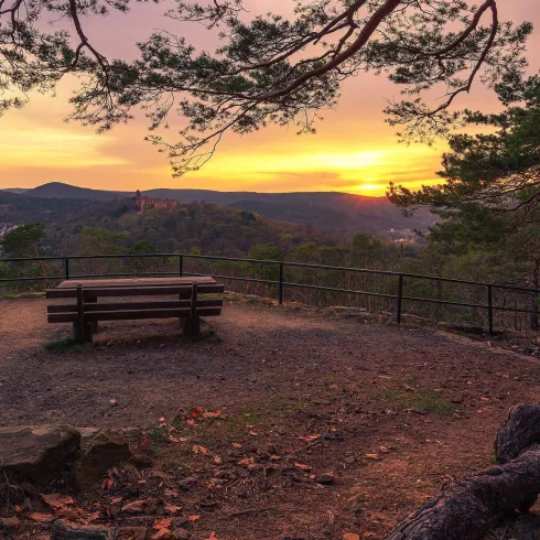 Ausblick auf die Limburg (© Stadt Bad Dürkheim)