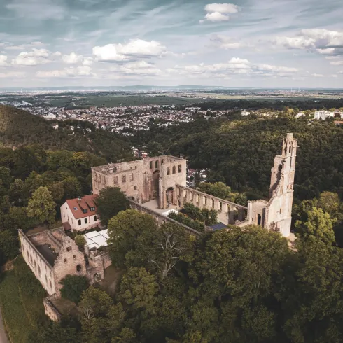 Eine alte Ruine auf einem Hügel, umgeben von Bäumen. Im Hintergrund erstreckt sich eine weite Landschaft mit bewölktem Himmel.