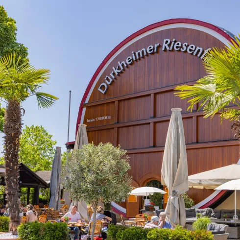 Eine große Holzbauten mit der Aufschrift "Dürkheimer Riesen" und begrünten Bereichen. Palmen und Sonnenschirme schaffen eine einladende Atmosphäre.