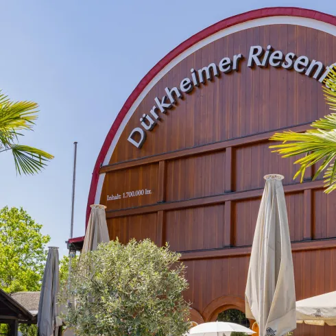 Eine große Holzbauten mit der Aufschrift "Dürkheimer Riesen" und begrünten Bereichen. Palmen und Sonnenschirme schaffen eine einladende Atmosphäre.