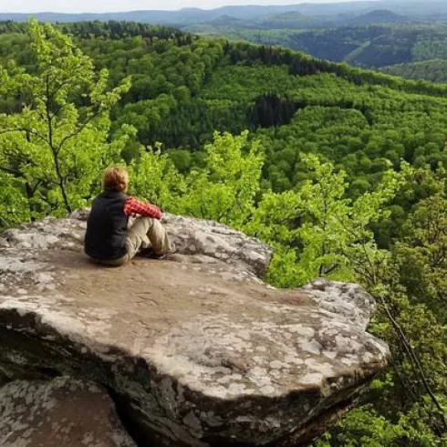 Drachenfels - Südfels