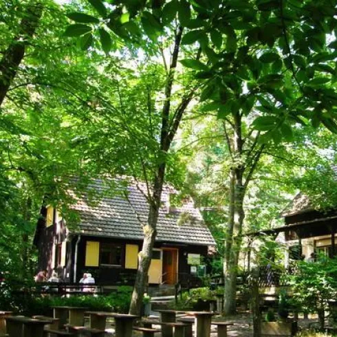 Ein idyllischer Wald mit dichten, grünen Bäumen. Im Hintergrund sind gemütliche Holzhäuser zu sehen.