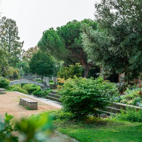 Eine ruhige Gartenlandschaft mit grünen Bäumen und Sträuchern. Im Hintergrund ist eine kleine Brücke und ein gepflasterter Weg sichtbar.