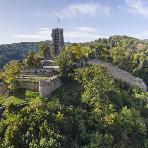 Eine historische Burganlage umgeben von dichten grünen Wäldern. Im Hintergrund ist ein Aussichtsturm sichtbar.