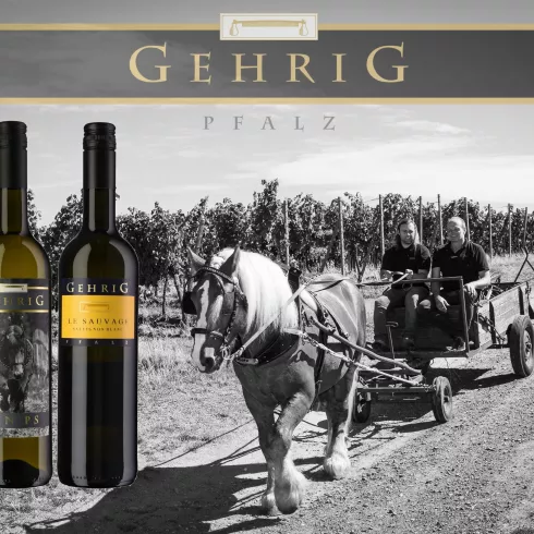 3 Üblichen 2, Weingut Gehrig (© Weingut Gehrig)