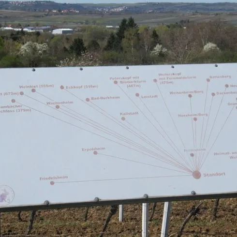 Panoramatafel am Aussichtspunkt (© Urlaubsregion Freinsheim)