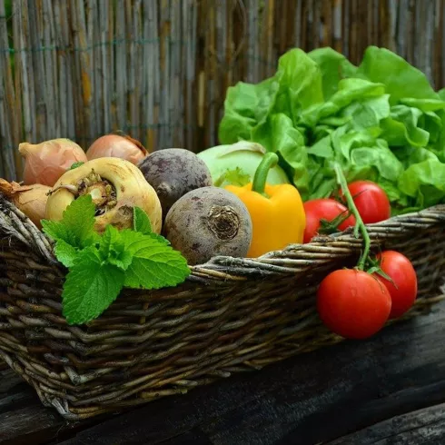 Gemüsekorb (© Pixabay)