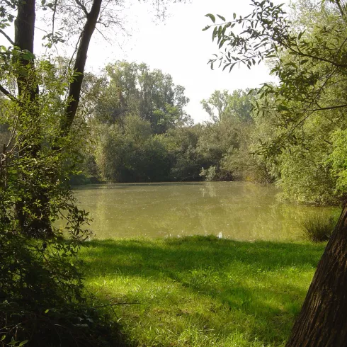 Weisenheim am Sand - Ludwigshain (© Urlaubsregion Freinsheim)