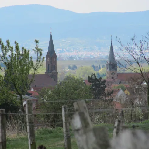 Blick auf Weisenheim am Sand (© Birgit Groh)