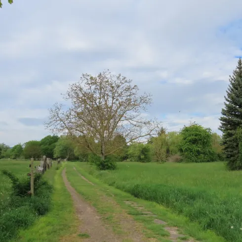 Wanderweg im Naherholungsgebiet Ludwigshain