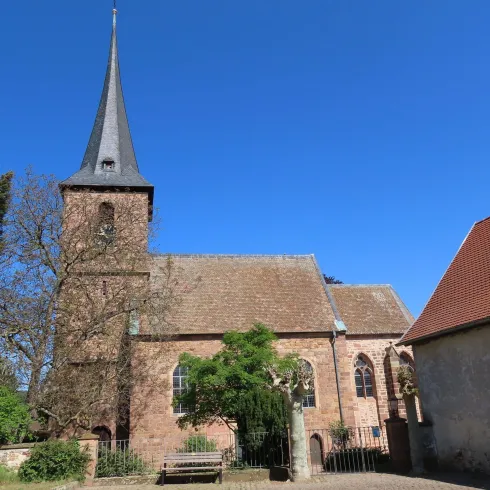Eine Kirche mit abgerundeten Fenstern und einem Kirchenturm.Das Foto ist von der seitlichen Sicht und im Vordergrund steht eine Holzbank.Die Kirche ist die protestantische Kirche in Weisenheim am Sand.
