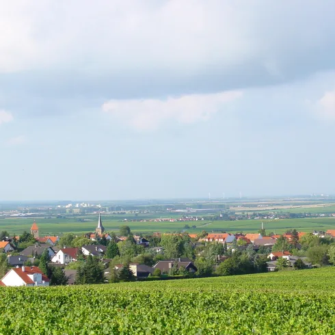 Panorama Ortsansicht von Süden