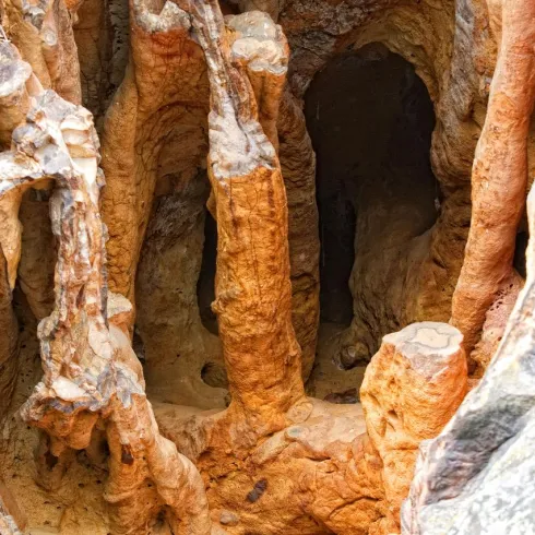 Blitzroehren Battenberg