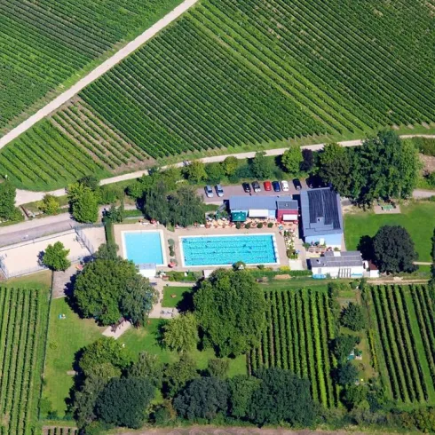 Ein Luftbild von einem schwimmenden Bereich mit zwei Pools, umgeben von Weinbergen und Bäumen. Die Anlage befindet sich in einer grünen landschaftlichen Umgebung.