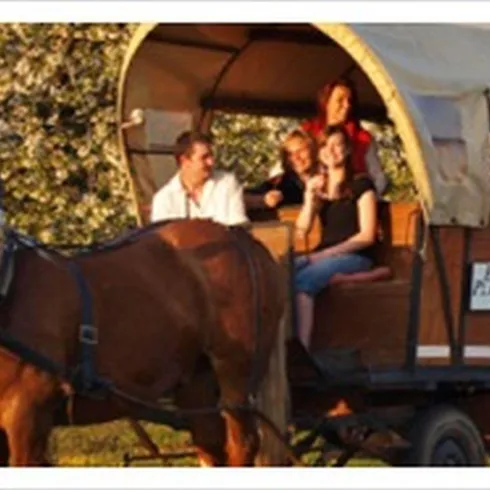 Planwagen mit 2 Pferden und Gästen (© Gumbinger)