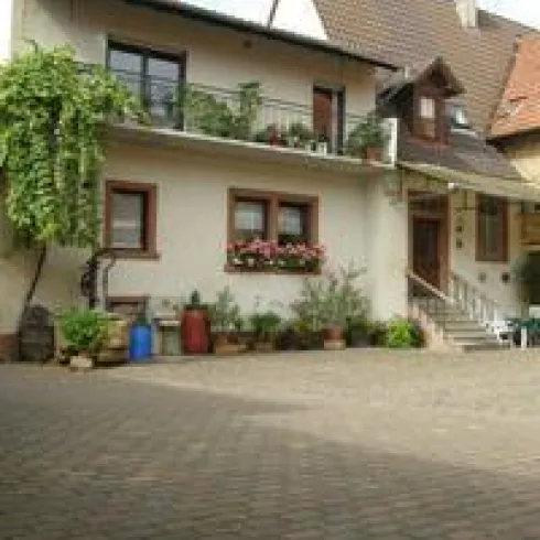 Weingut Koch - der Winzerhof (© Weingut Koch)