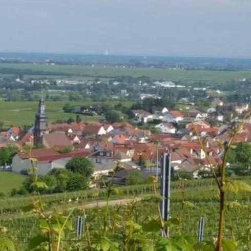 Kallstadt und Umgebung (© Urlaubsregion Freinsheim)