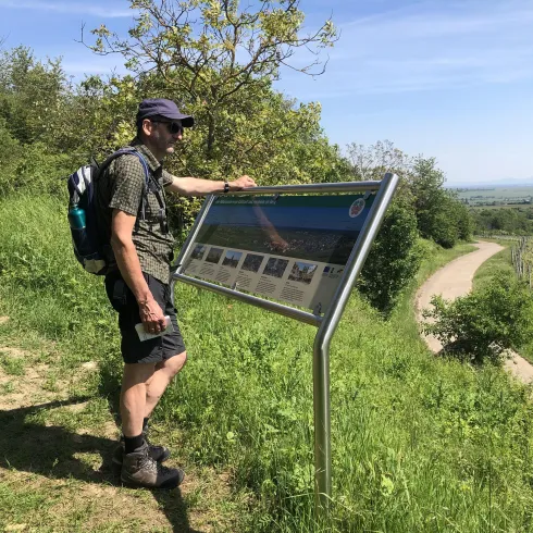 Schöner Aussichtspunkt oberhalb Kallstadts (© Urlaubsregion Freinsheim)