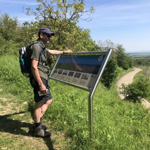 Schöner Aussichtspunkt oberhalb Kallstadts (© Urlaubsregion Freinsheim)