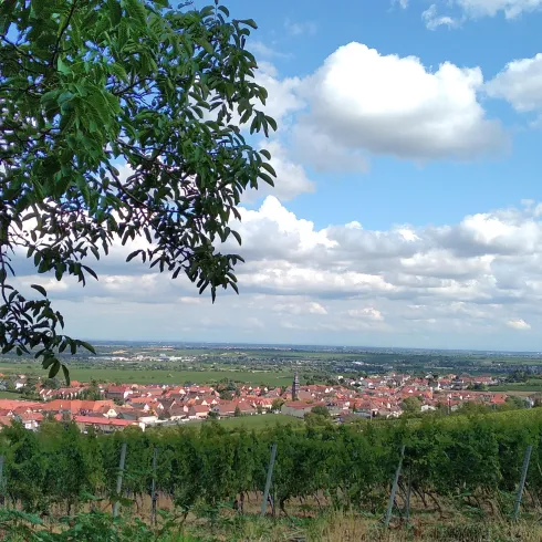 Eine malerische Landschaft mit Weinbergen im Vordergrund und einem kleinen Dorf im Hintergrund. Die Himmel ist klar mit vielen Wolken.